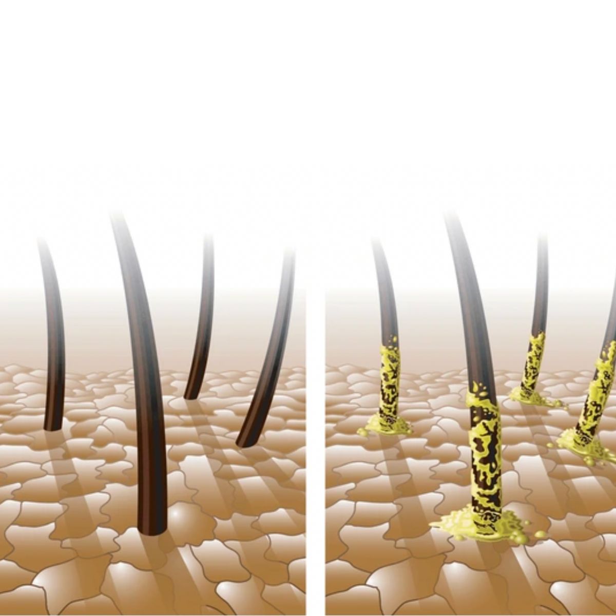 How to Care for an Oily Scalp with Coily and Curly Hair