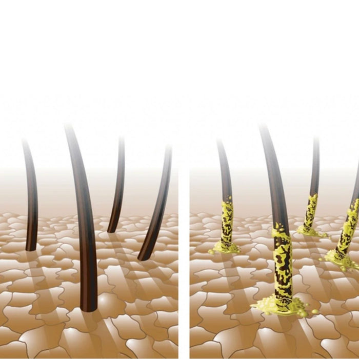 How to Care for an Oily Scalp with Coily and Curly Hair