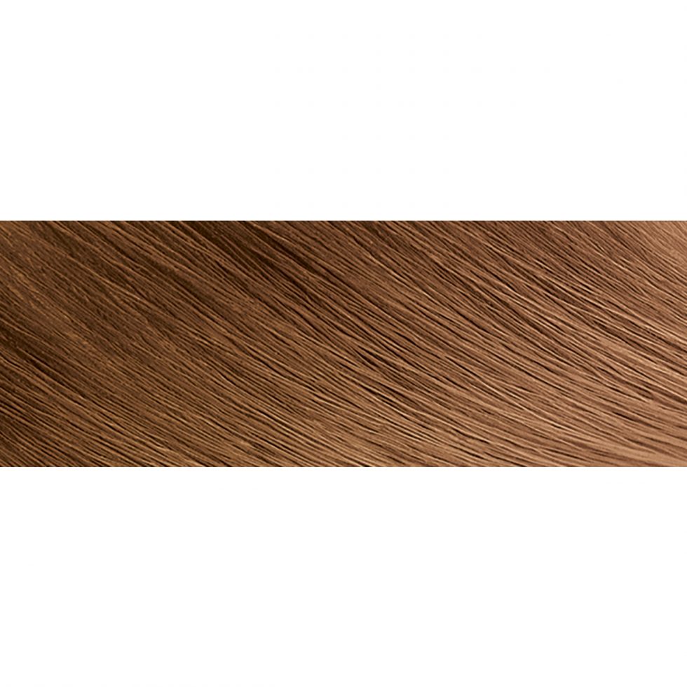 Moisture-Rich Hair Color with Shea Butter Conditioner - C20 Light Golden Brown